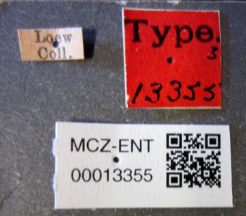 Media type: image;   Entomology 13355 Aspect: labels